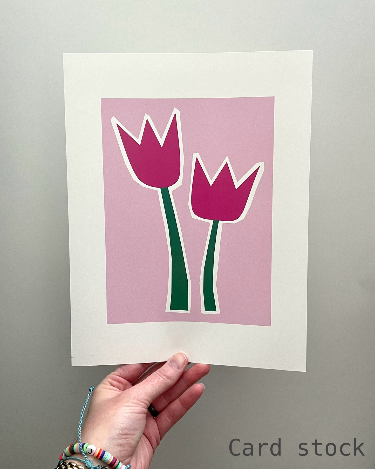 Tulips - Linear Pink